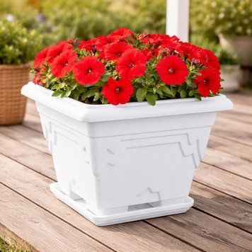 Пластиковий вазон для квітів, кашпо з підставкою SoloPlast 5,2 л 00000036071 фото